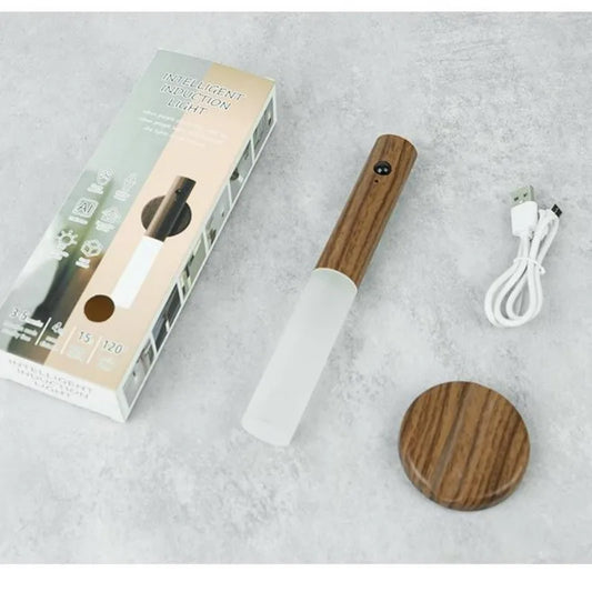 Motion Sensor Rechargeable Night Light