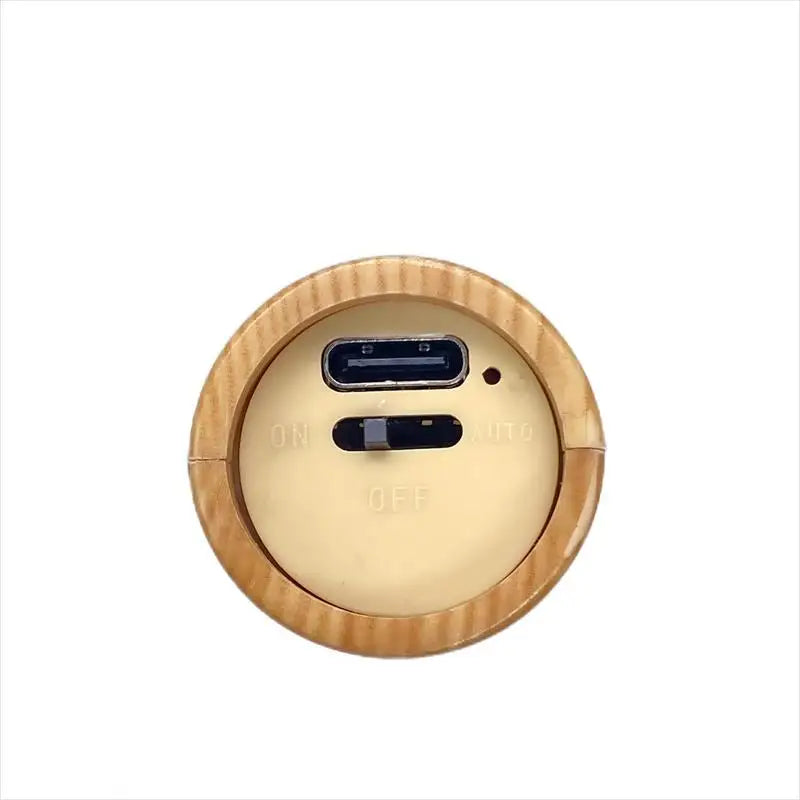 Motion Sensor Rechargeable Night Light