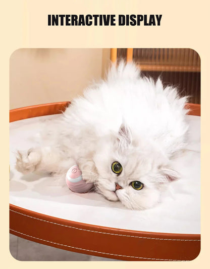 Smart Cat Toy Ball