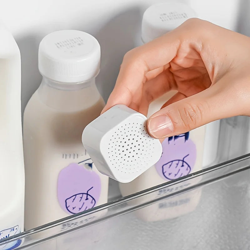 Refrigerator Deodorizer – Activated Carbon Odor Absorber