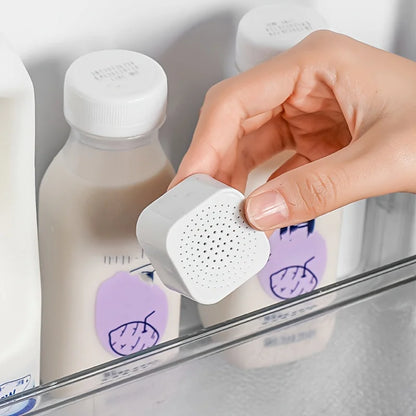 Refrigerator Deodorizer – Activated Carbon Odor Absorber