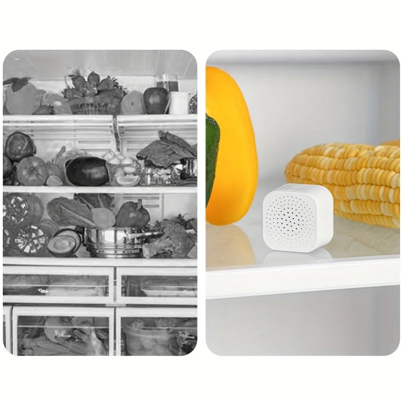 Refrigerator Deodorizer – Activated Carbon Odor Absorber