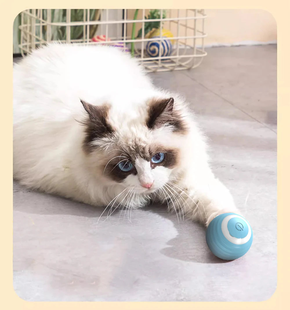 Smart Cat Toy Ball
