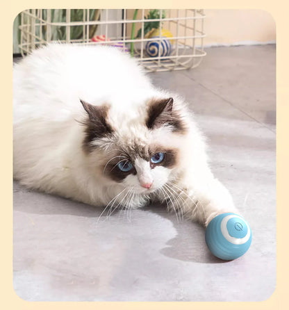 Smart Cat Toy Ball