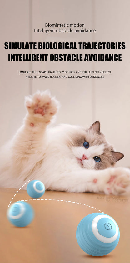 Smart Cat Toy Ball