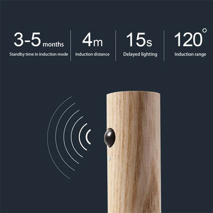 Motion Sensor Rechargeable Night Light