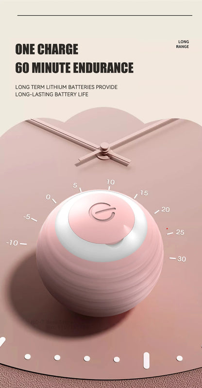 Smart Cat Toy Ball