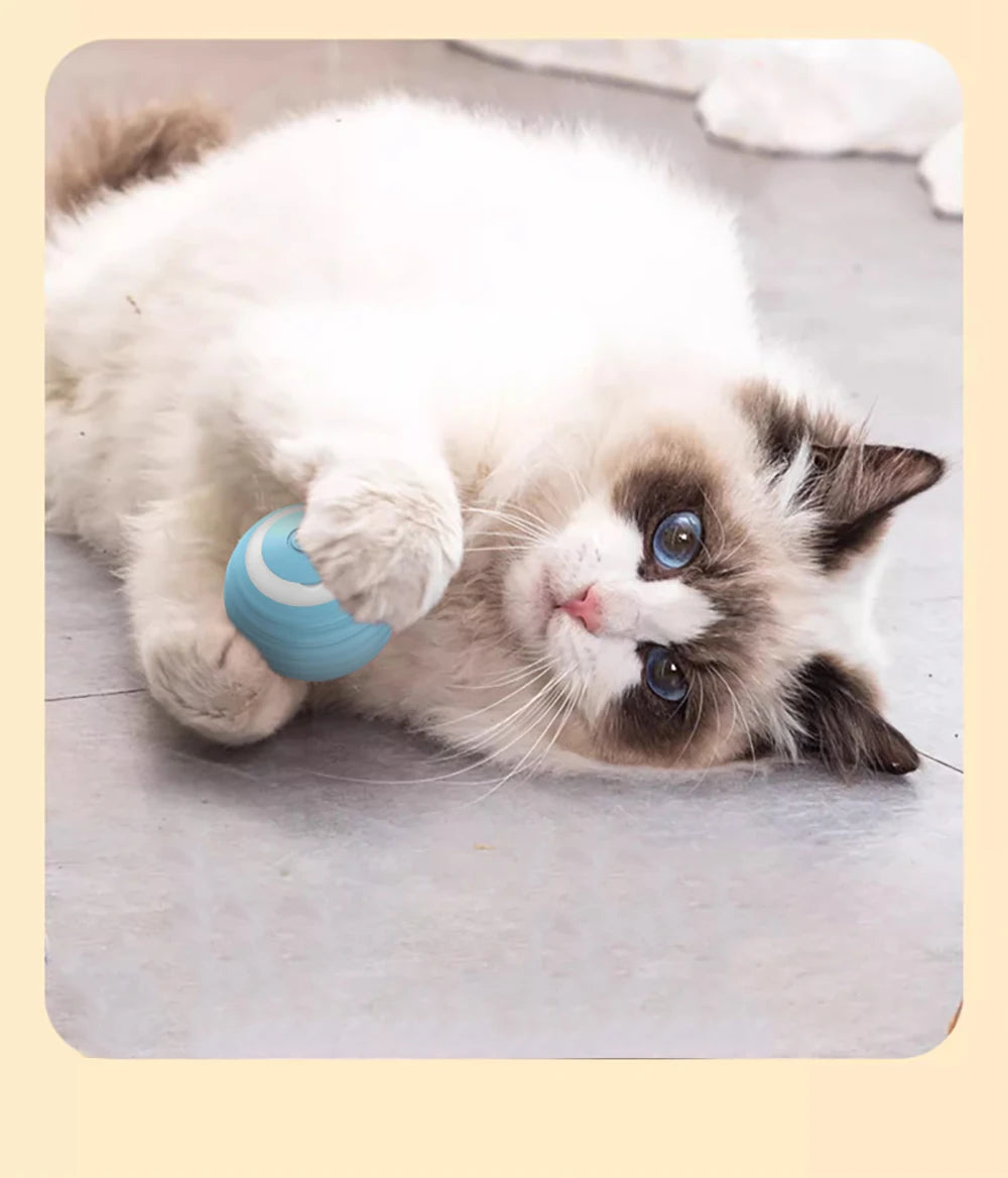 Smart Cat Toy Ball